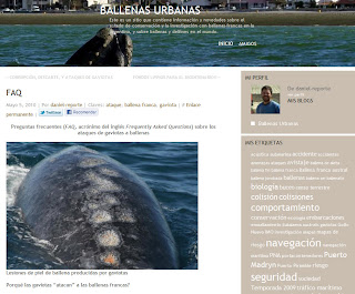 Ballenas Francas y el ataque de las gaviotas