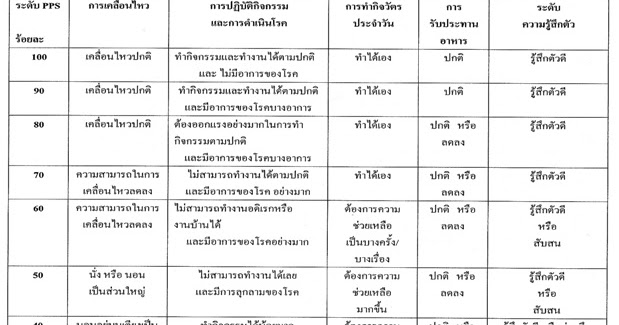 ทีมทะเลหมอก */*: PPS