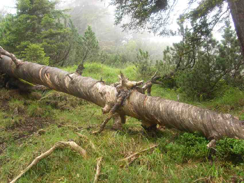 Skizzen Notizen 2013