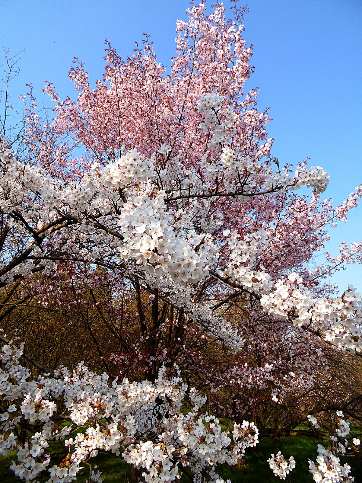 Loft Vs Lostclub Die Zehnte Lunastrom Licht Und Klang