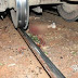 Homem morre atropelado por trem em Jandaia
