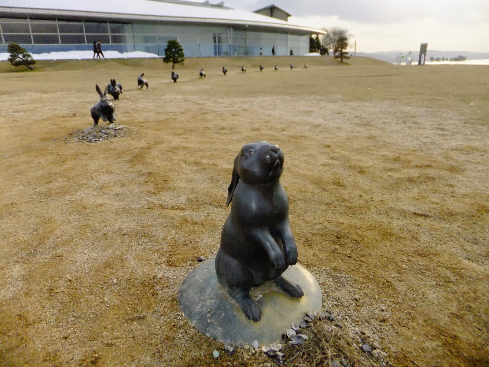 Natural Feelings 12匹の 宍道湖うさぎ