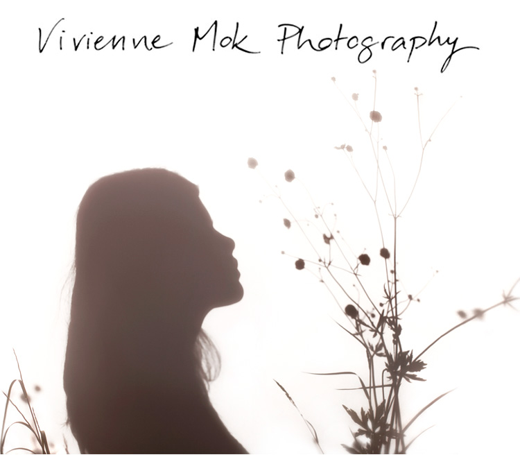 Vivienne Mok Photography