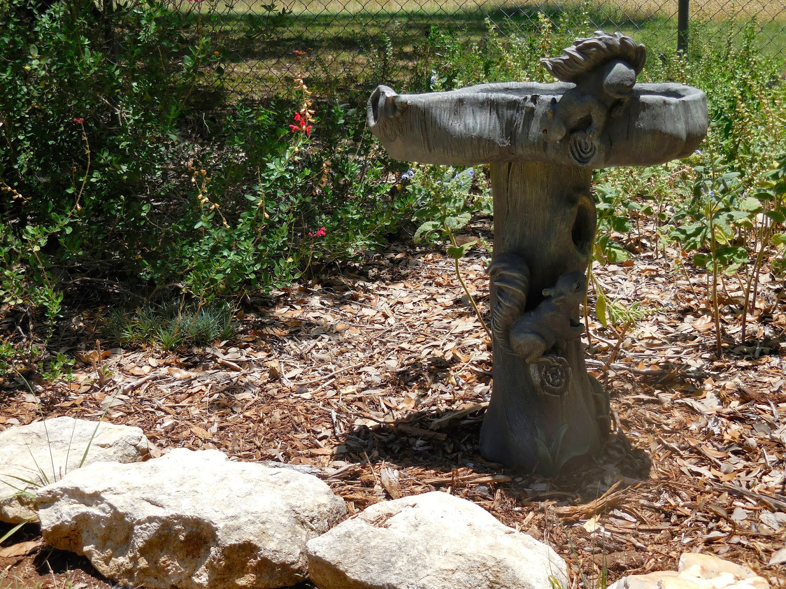 Window on a Texas Wildscape More on bird baths