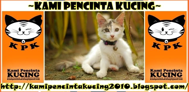 Kami Pencinta Kucing