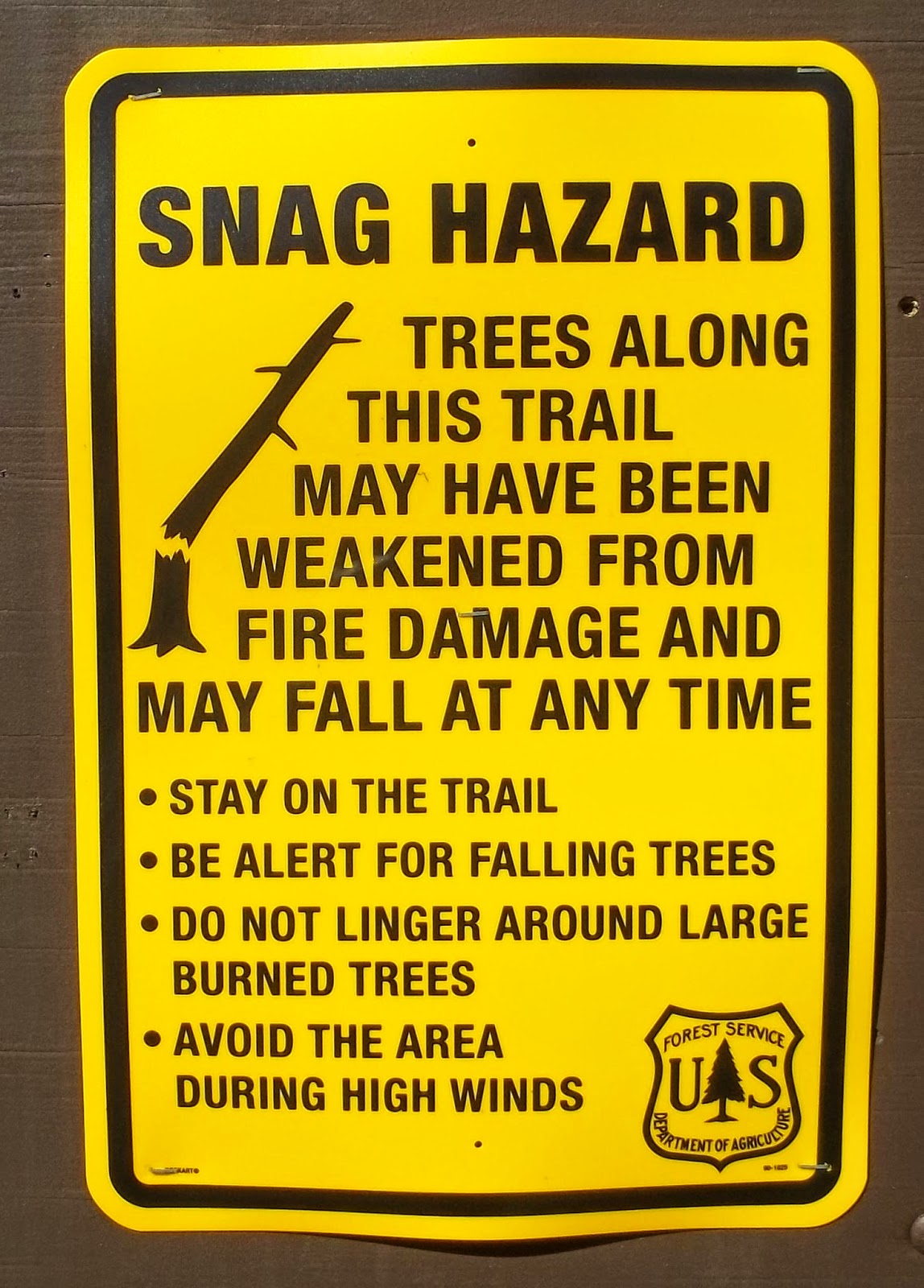 Official Quiet Warrior Racing Blog Trail Management PostFire Hazard Tree Mitigation Takes