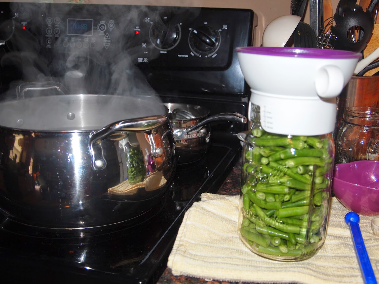 I Am Within Canning Green Beans