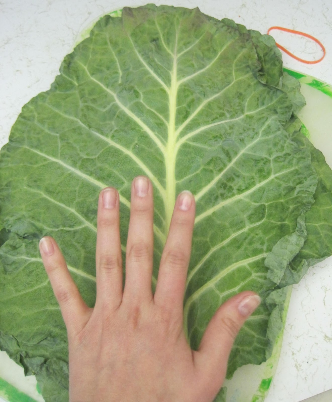 fresh-collard-greens.jpg