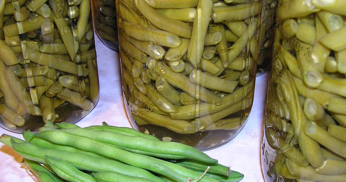 Still Finding Cash Canning No Pressure Green Beans