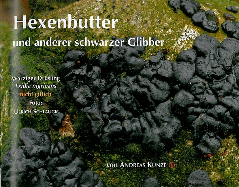 Kybersetzung Ein Blog Juli 2012