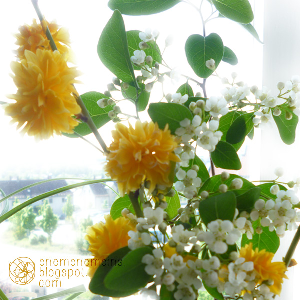 Schatzsuche 6 Geburtstag Schatzsuche Kindergeburtstag