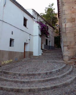 Barrio de San Antonio. Escalinata