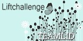 Teamlid Lift Challenge Blog