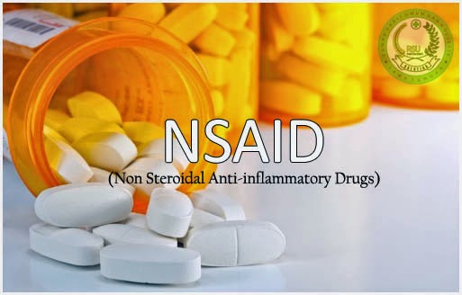 Definisi Obat Anti Inflamasi Non Steroid Rsu Dan Holistik