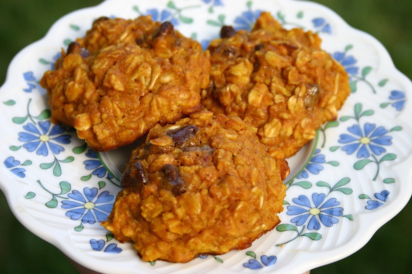 Bake It and Make It with Beth Pumpkin Oatmeal Chocolate Chip Cookies