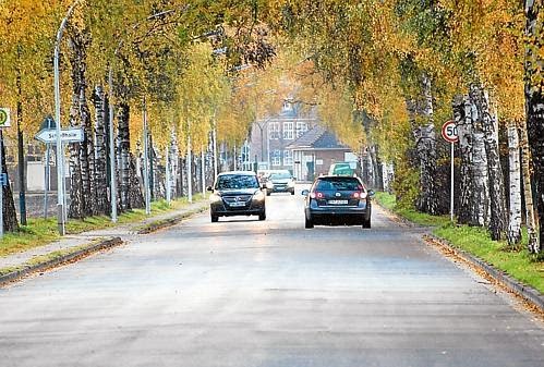 Arma Virumque Cano September 2014