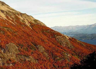 villa la angostura turismo en argentina