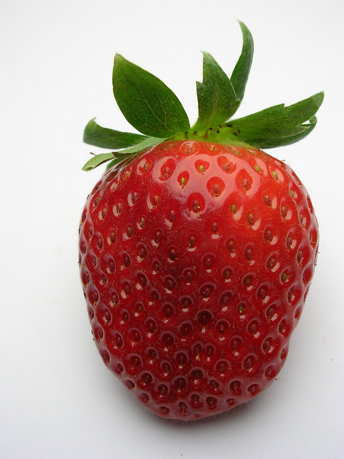 BilderBibliothek Erdbeeren
