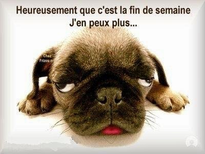 Résultat de recherche d'images pour "c'est la fin de semaine"