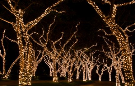~~Latest~~ Christmas Lights | Christmas Tree Lights | Christmas Lights Decoration ~~Latest~~ Christmas Lights | Christmas Tree Lights | Christmas Lights Decoration