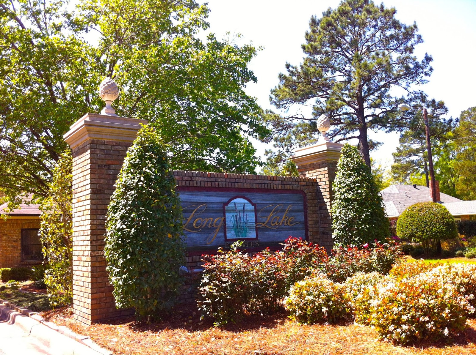 Long Lake Real Estate