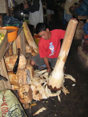 BUSINESS AND JOBS : COCONUT TREE A REAL TREE OF MONEY