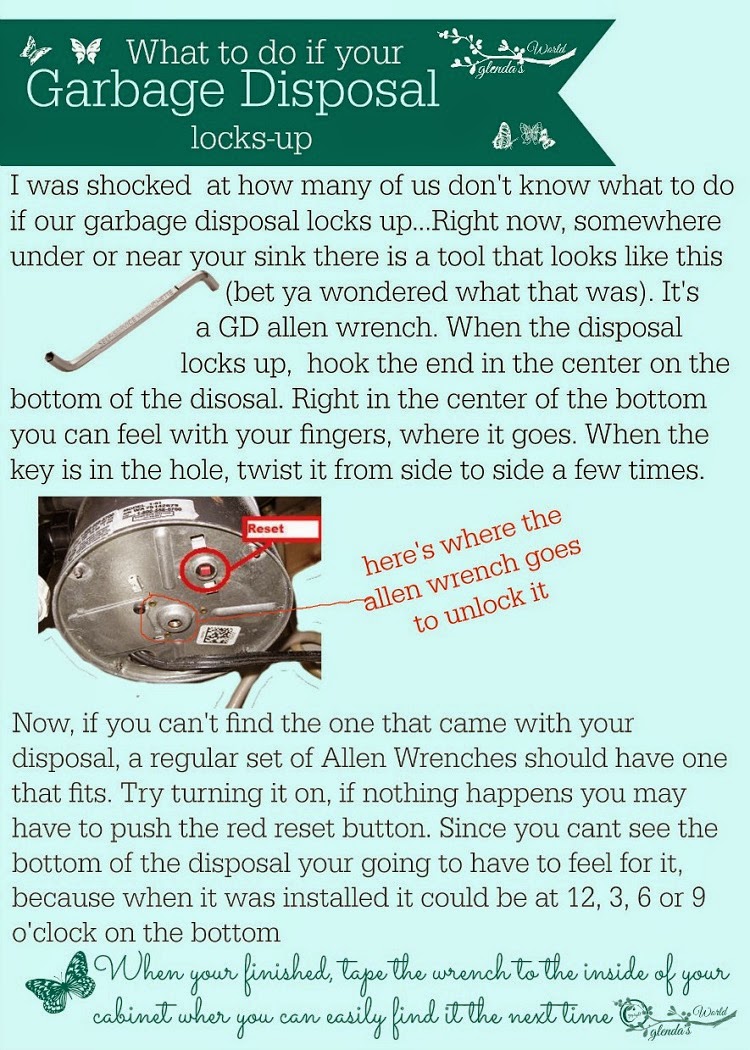 glenda's World What to do if Your Garbage Disposal LocksUp