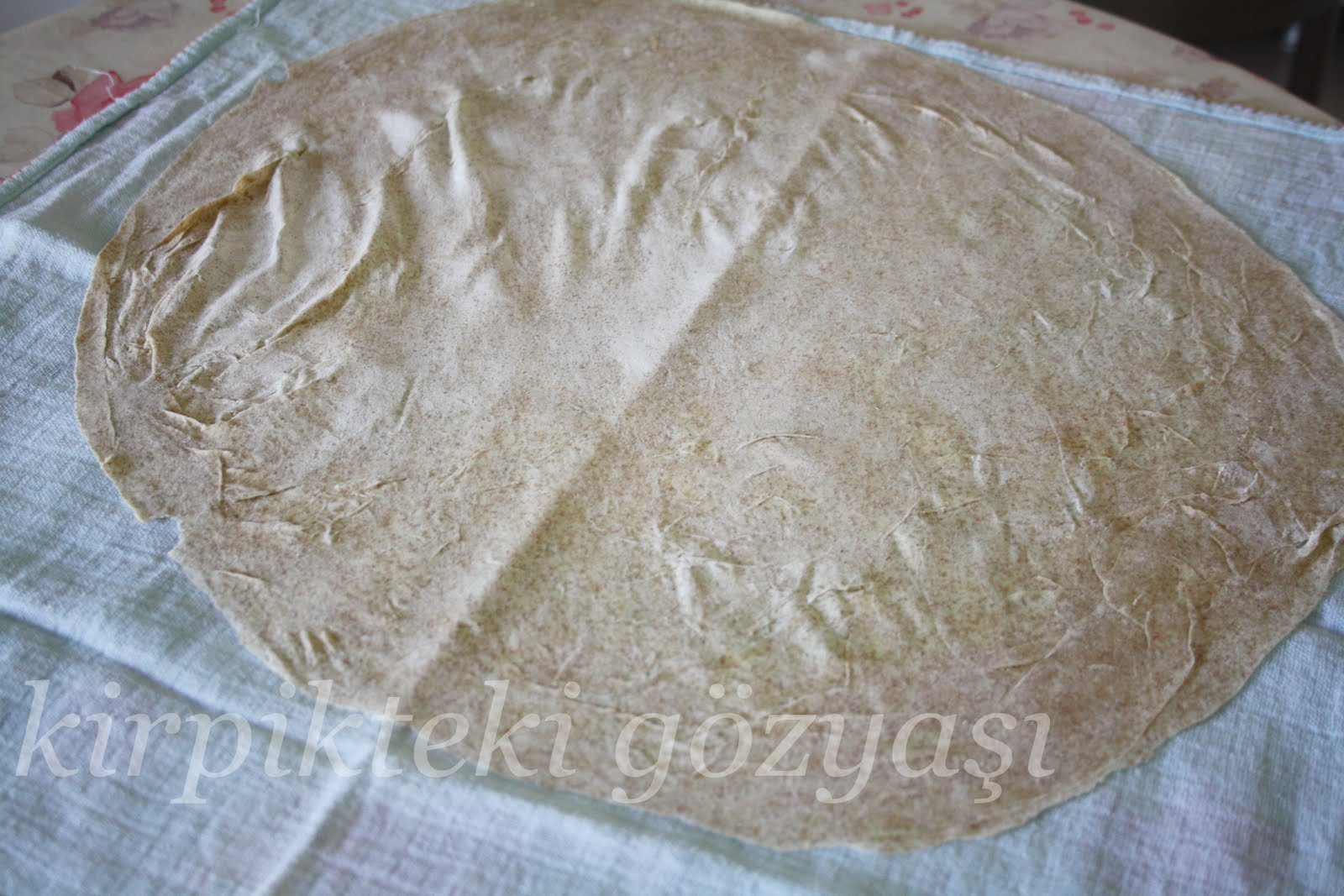 Kirpikteki Gözyaşı Tam Buğday Unlu Patlıcanlı Börek