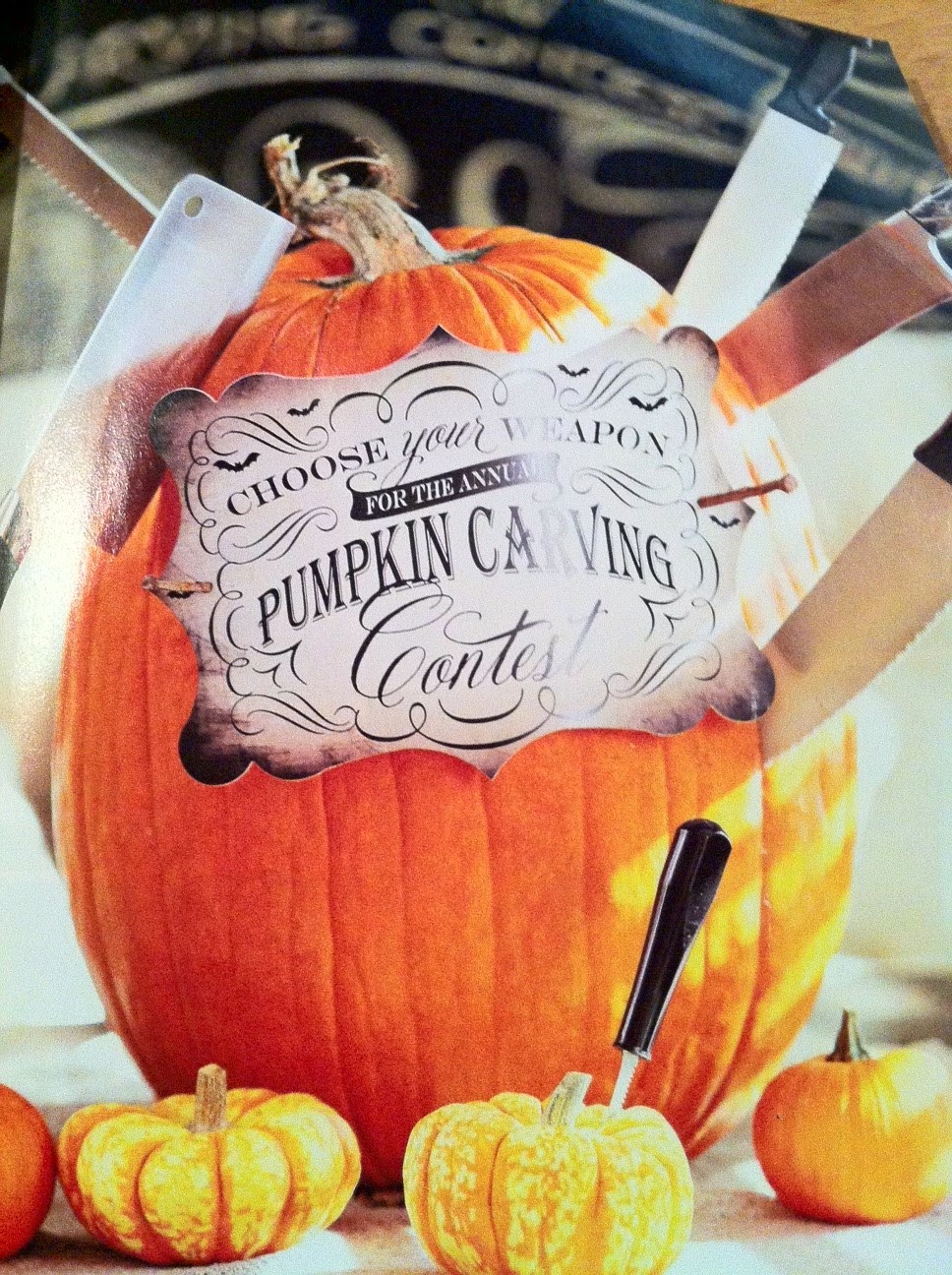 Vintage Halloween Collector Better Homes & Gardens 2014 Halloween