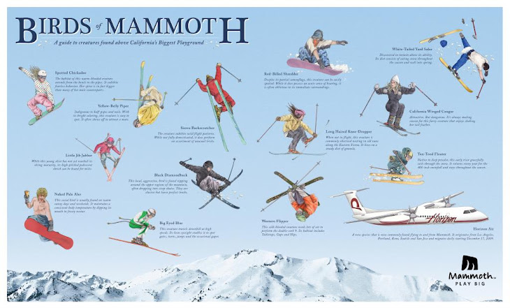 A Birds of the Mammoth