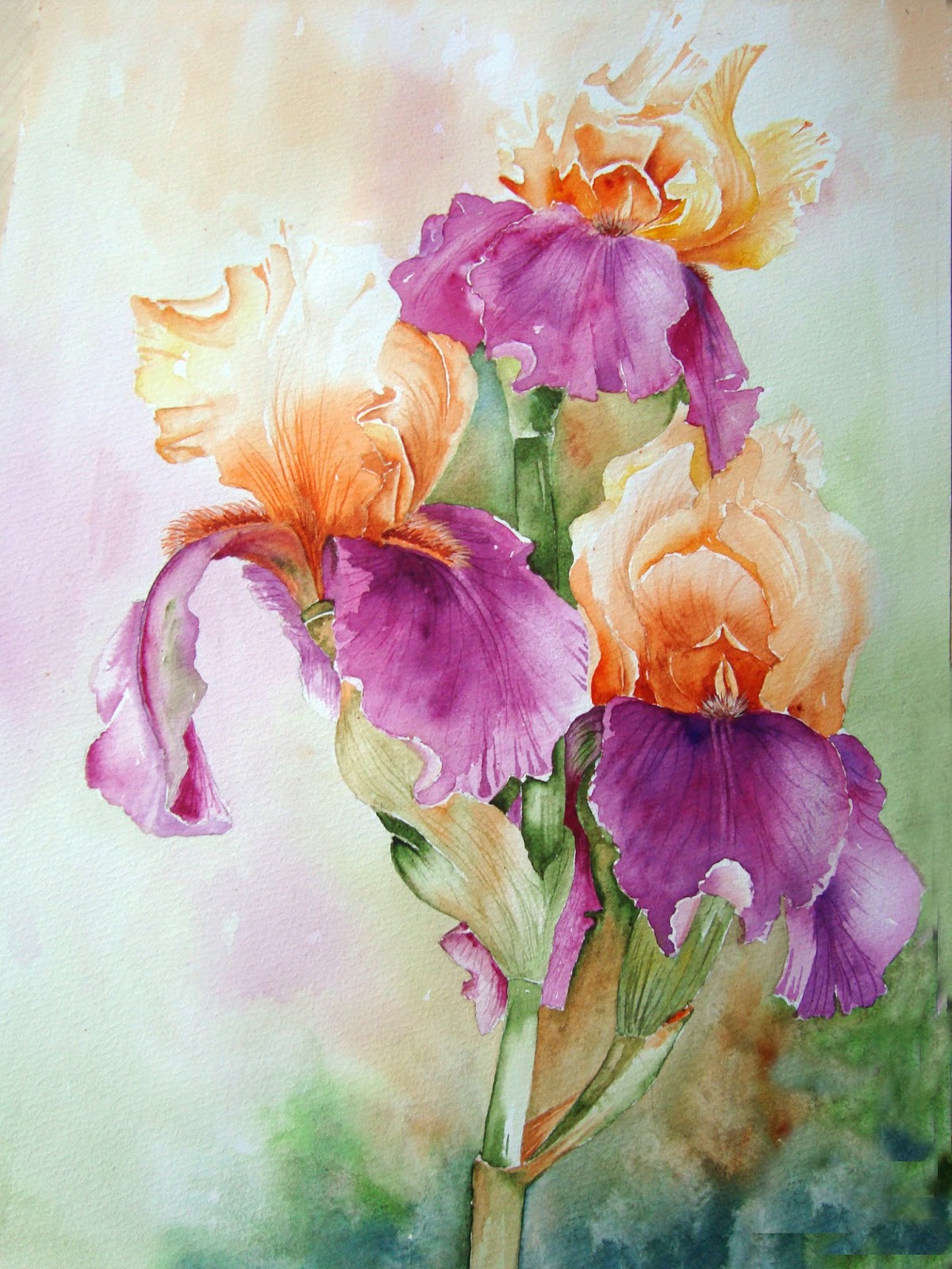 Watercolour Florals Iris Jazz Festival