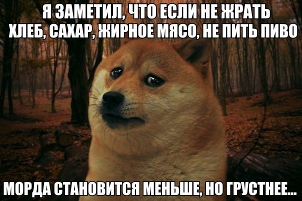 Как сделать так чтобы за тобой пошли люди Как сделать так чтобы за тобой пошли люди