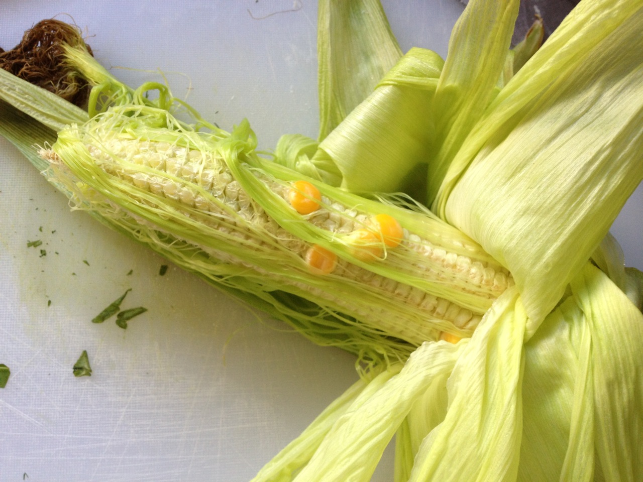 Observations on the New Vegetable Garden