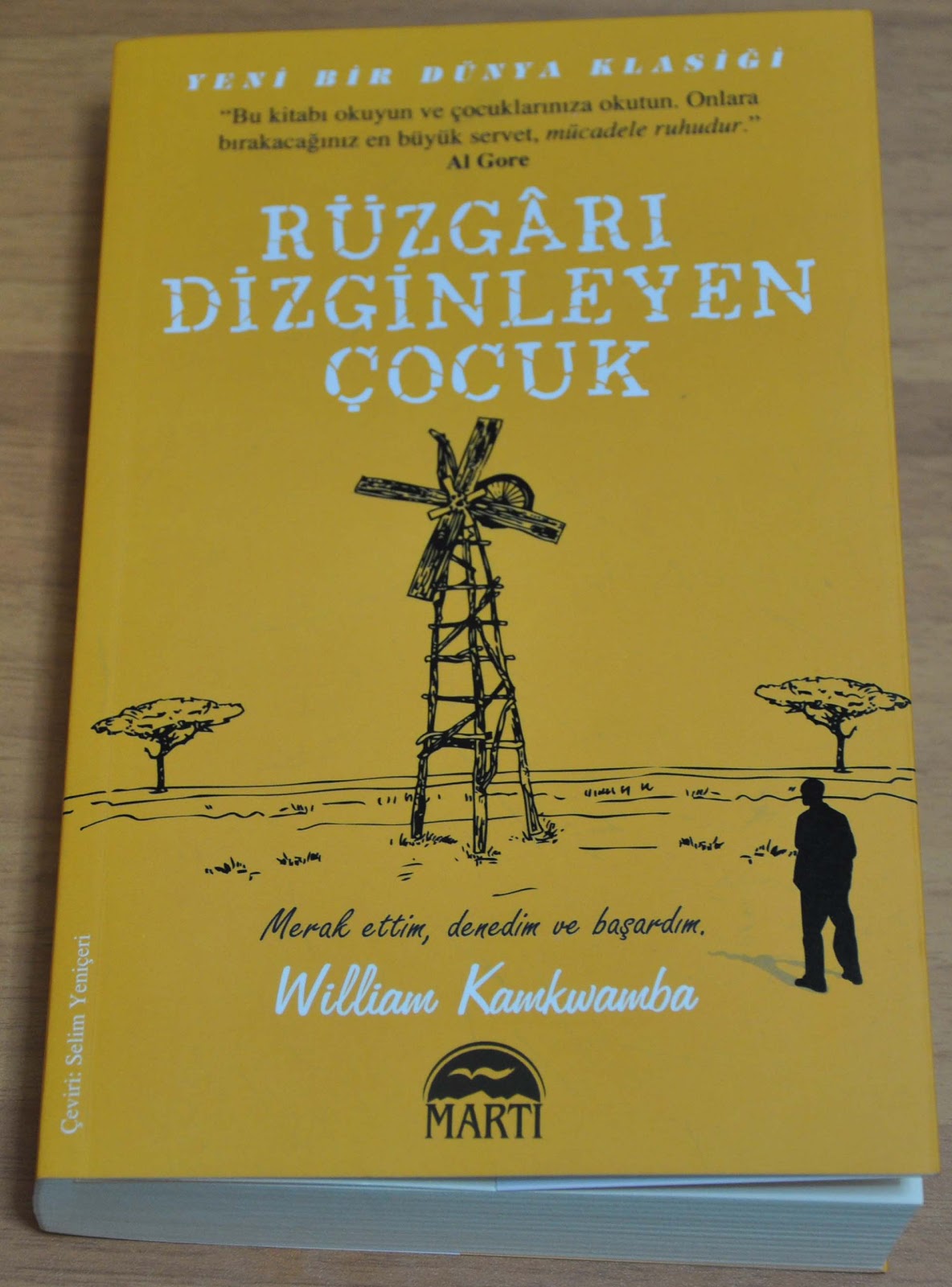 Hayalbemol Ruzgari Dizginleyen Cocuk