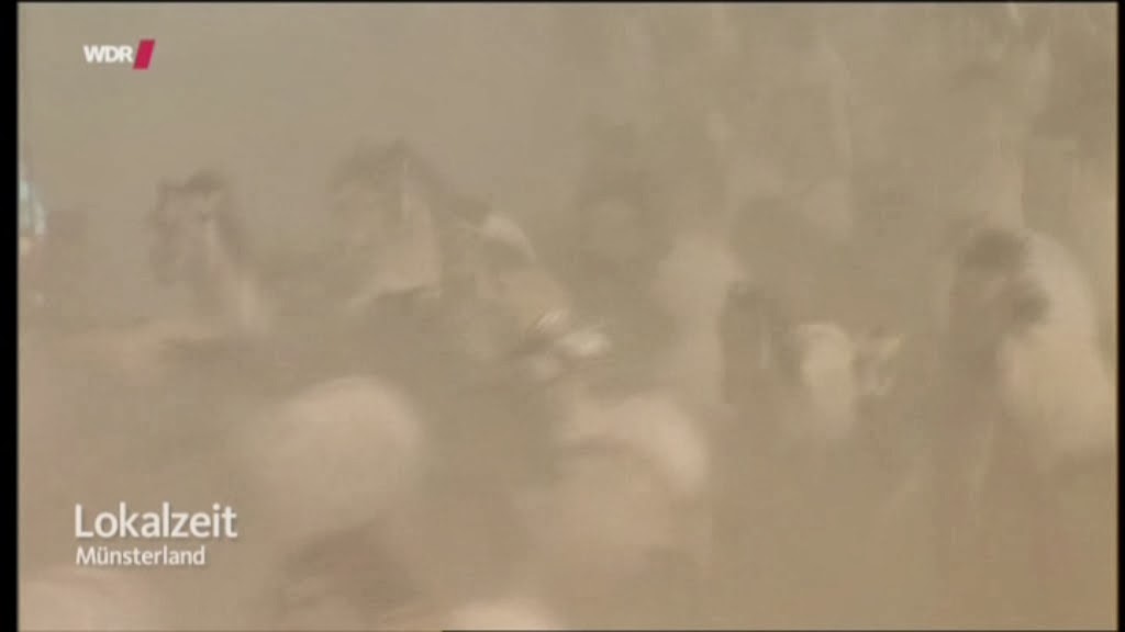 Mercedes Benz Fashion Week Berlin Part 1 Willa S Cherry Bomb