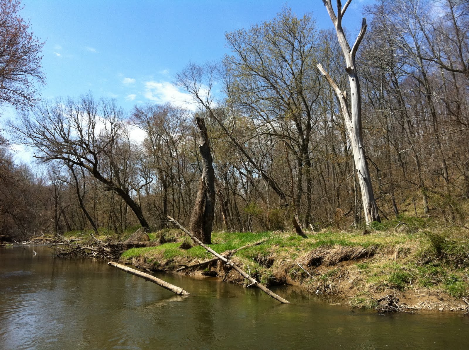 Lure Couture Fly Fishing Little Seneca Creek
