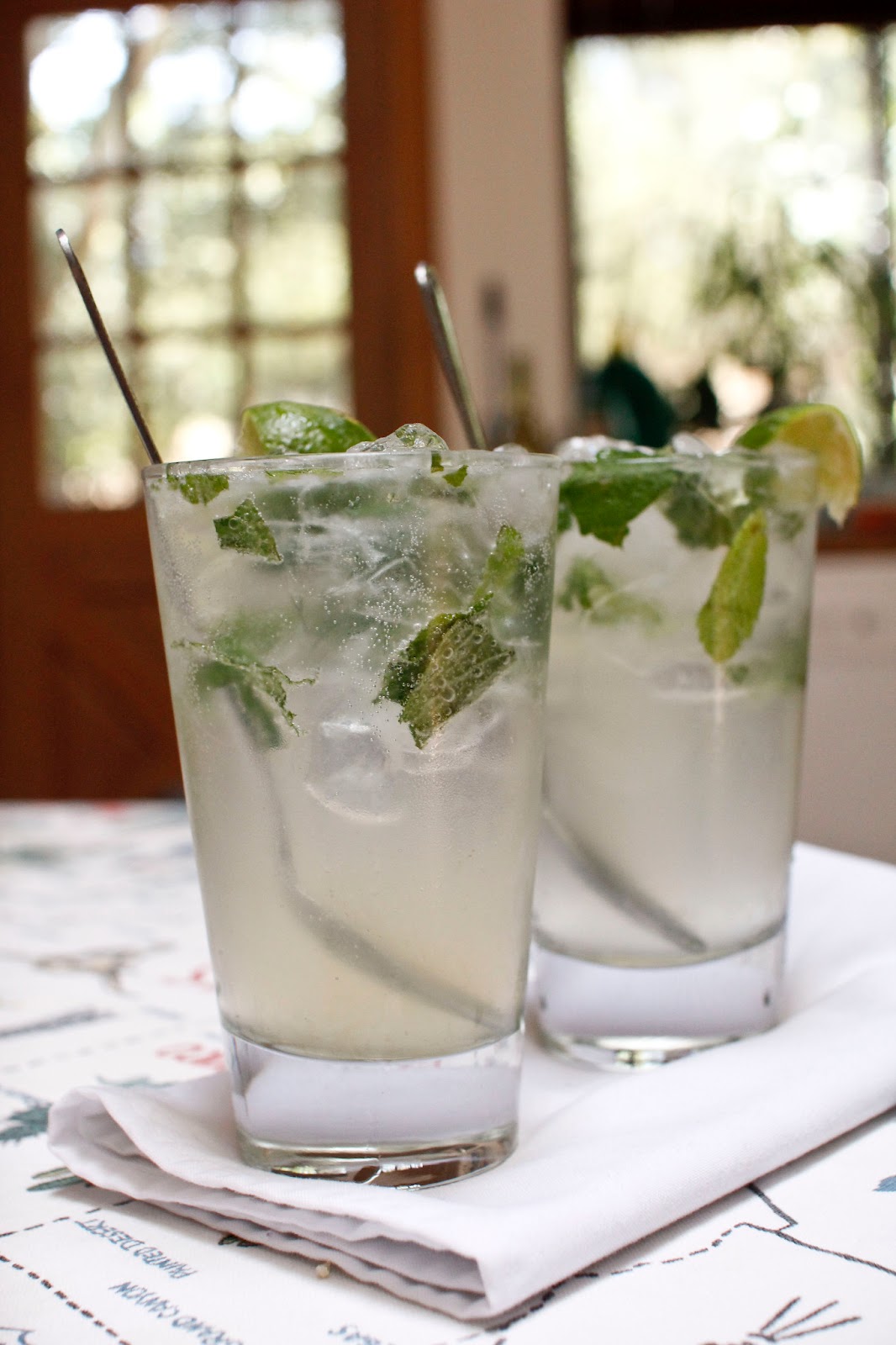 The Colors Of Indian Cooking Gin and Tonic. A Virgin's Tale