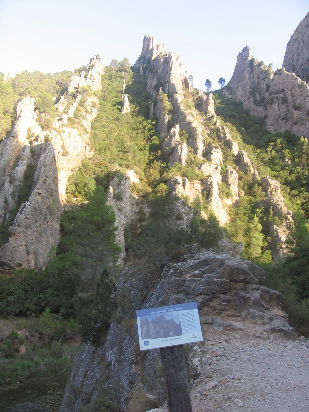 Formulario de búsqueda