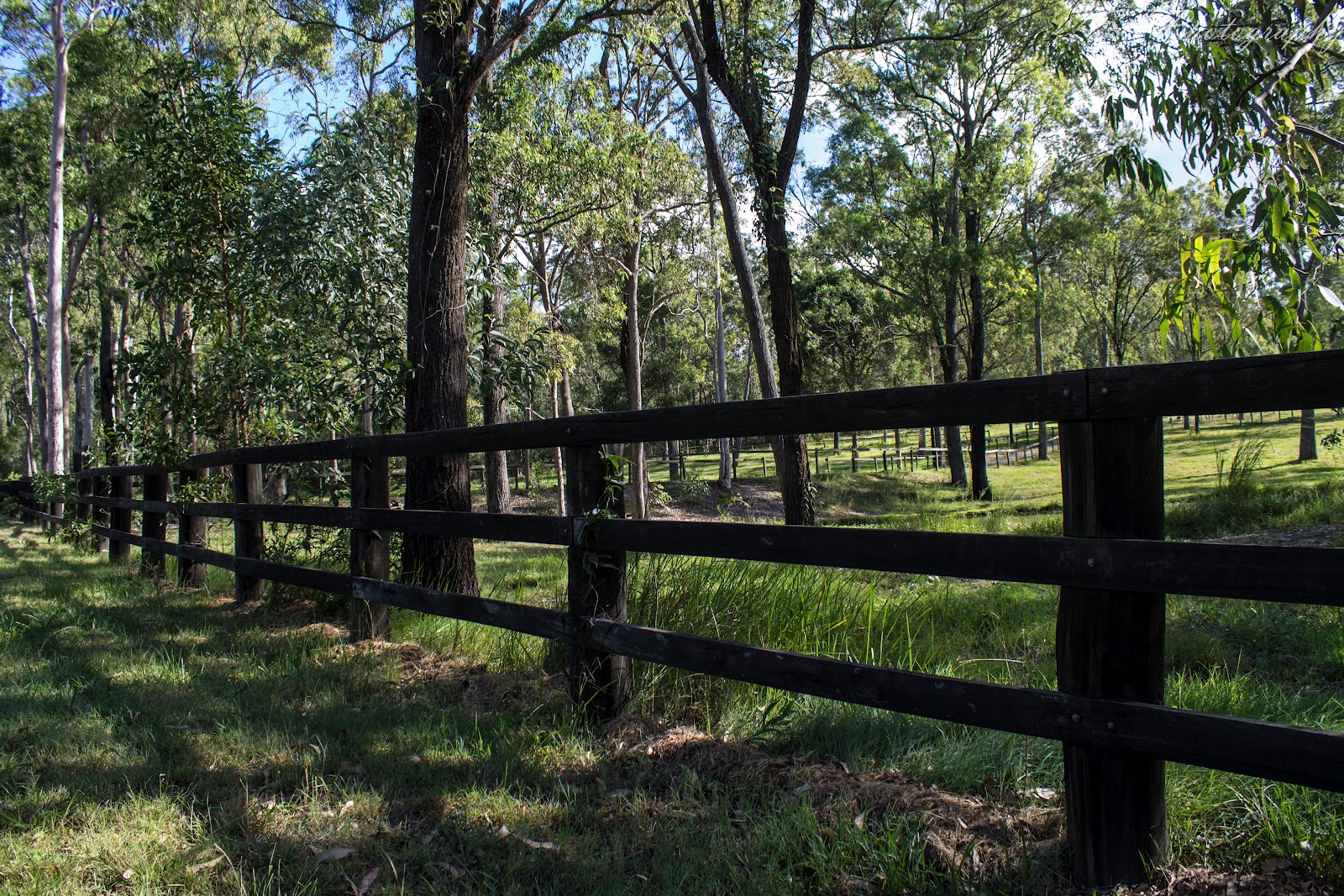 The Greatest of These is LOVE Friday's Fences Rural Fence
