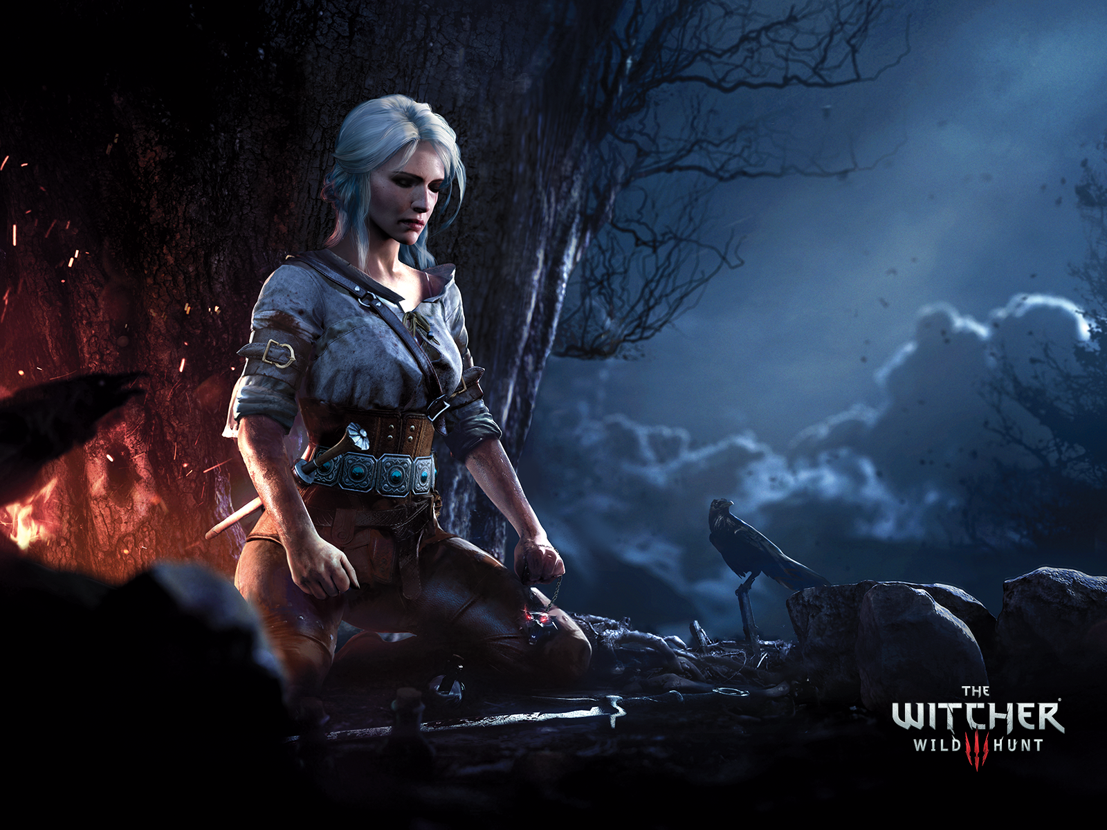 A Gamer S Review The Witcher Iii Wild Hunt