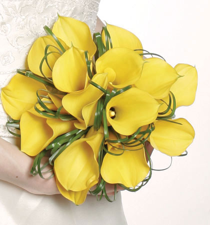yellow Calla lilies wedding Your wedding preparation marvelous dreamy yellow Calla lilies wedding Your wedding preparation marvelous dreamy