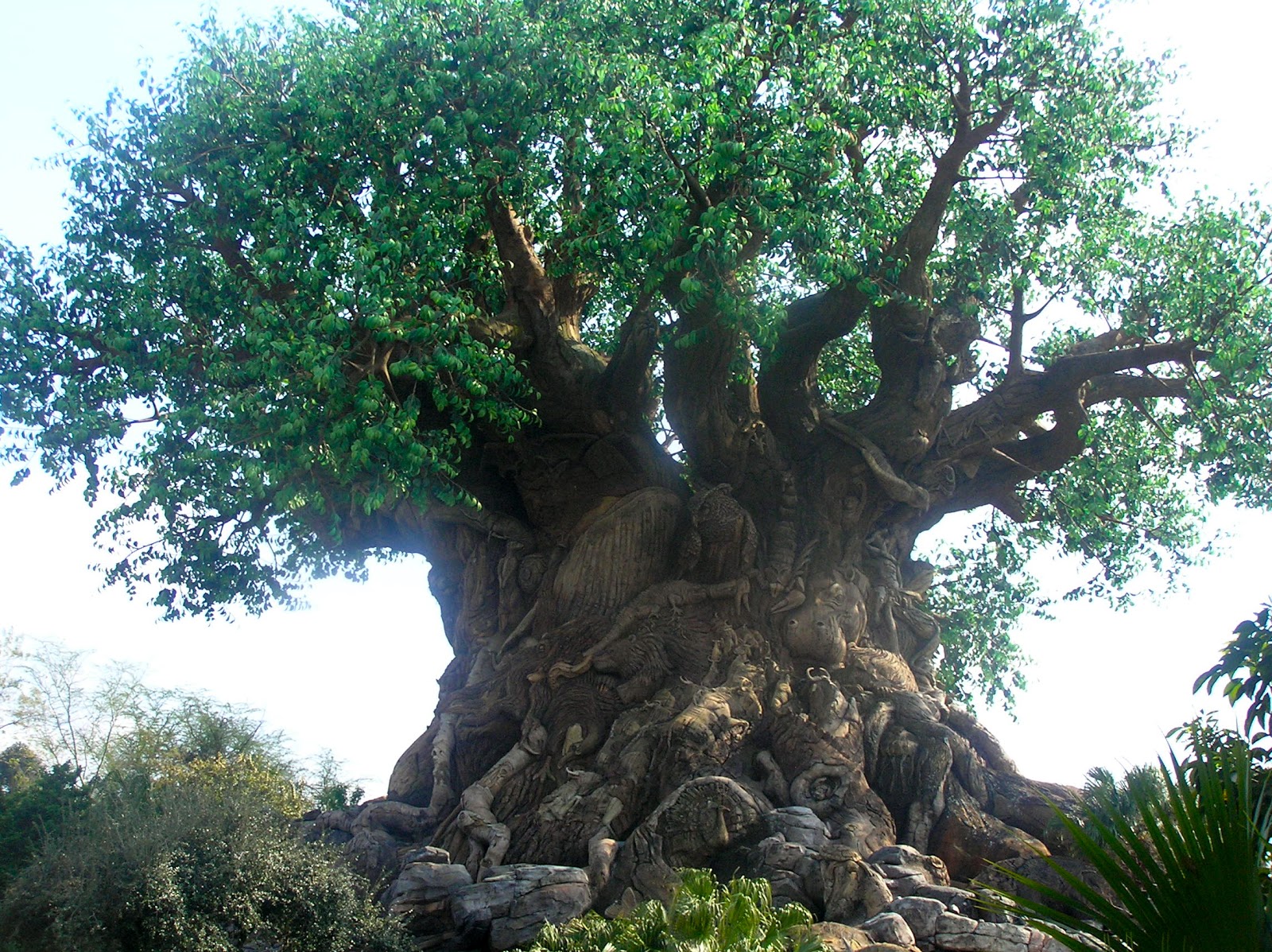 Janet Autherine - Growing into Greatness: A Random Act of Unkindness