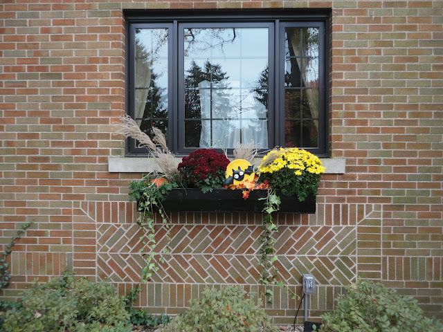 General Splendour Autumn Window Box And Touches Of