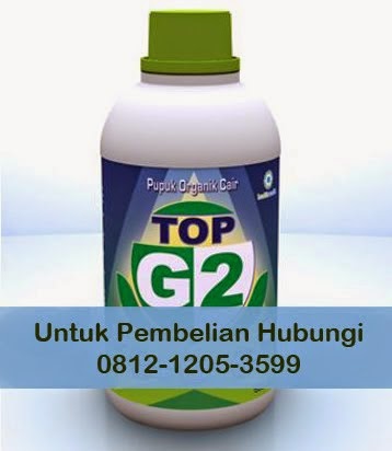 Beli Pupuk Top G2