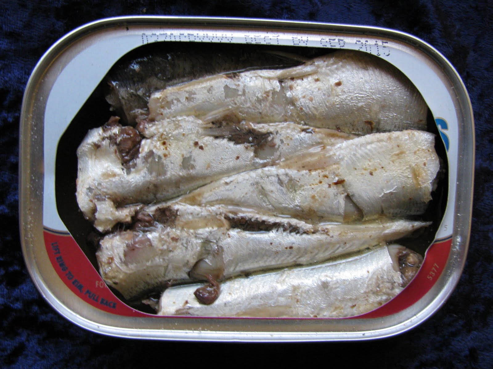 Mouth Full of Sardines Beach CliffSardines