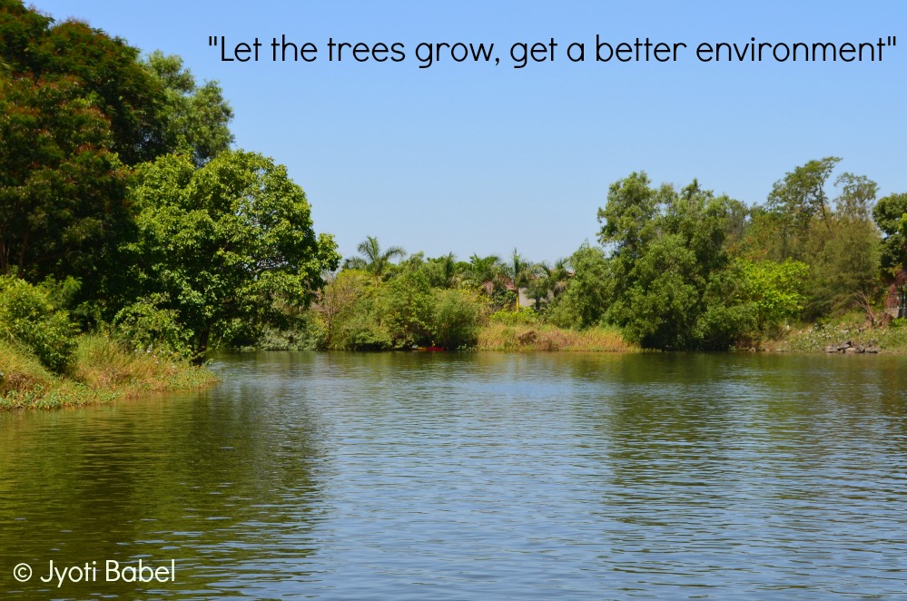 Jyoti's Pages Wordless Wednesday Let The Trees Grow, Get A Better