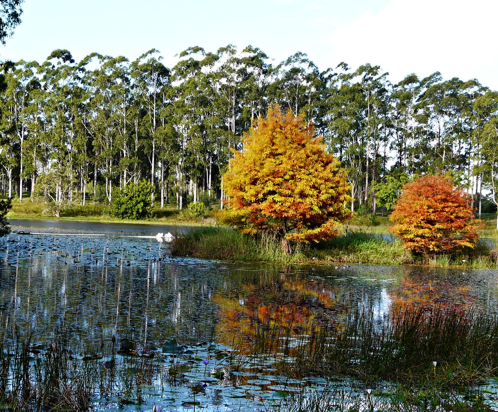 Australian Adventures Natural, Cultural information and photos! Lake