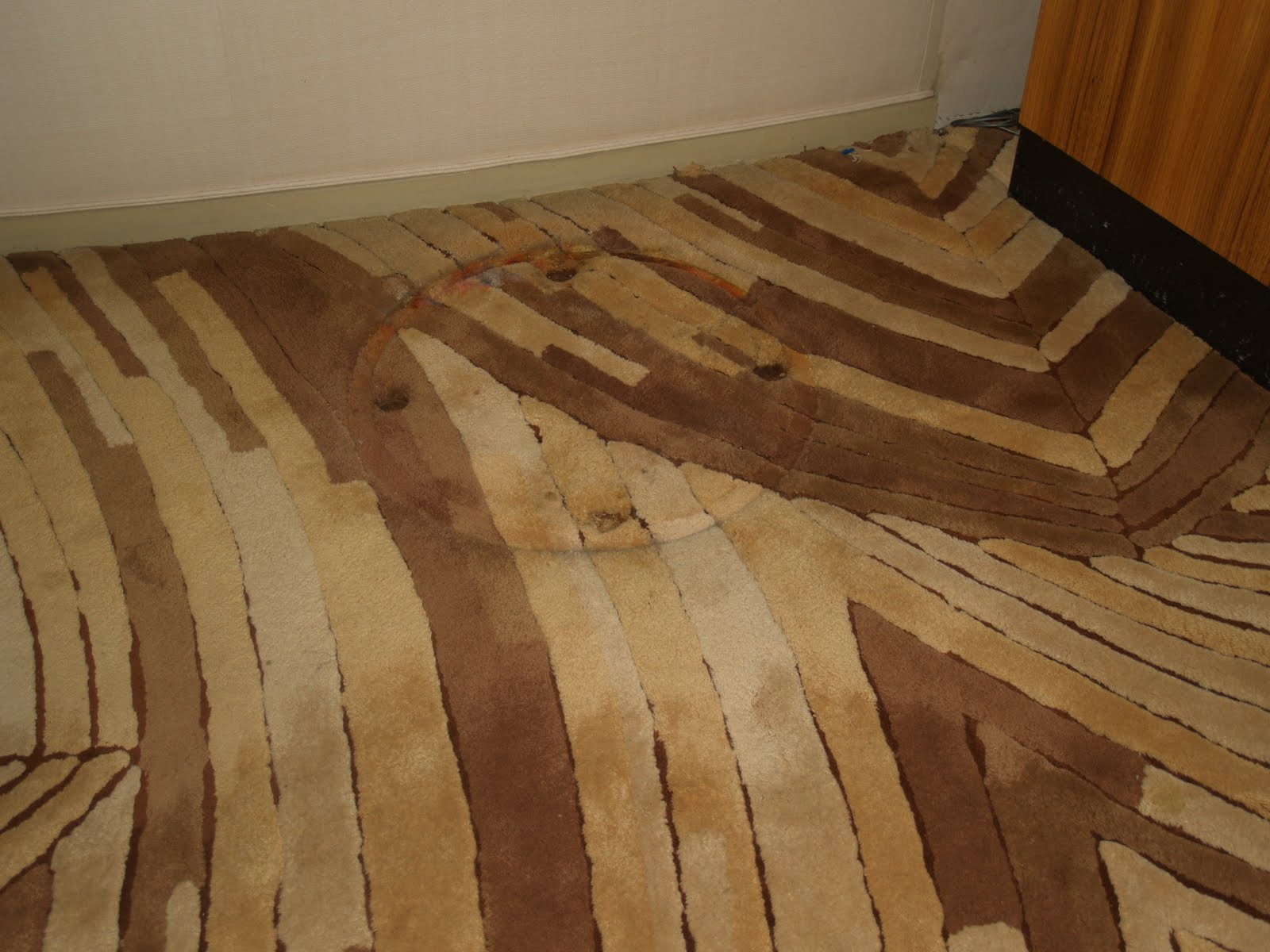 Rug Master Edward Fields Carpet