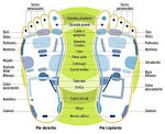 Reflexología Facial - Auricular - Manos - Pies