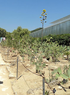 Photo Allah's Garden - Balchik Botanical